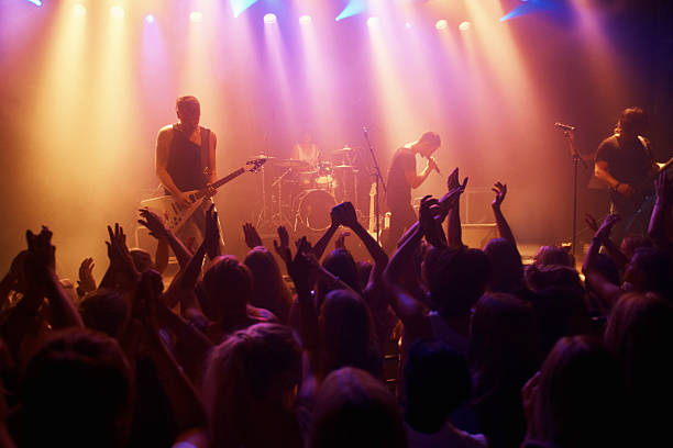 Singer or Live Bands
