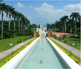 state-image